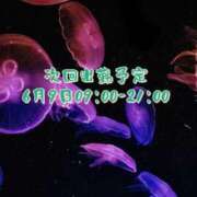 ヒメ日記 2024/06/08 22:41 投稿 しづ 奥様さくら難波店