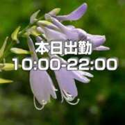 ヒメ日記 2024/07/09 09:21 投稿 しづ 奥様さくら難波店