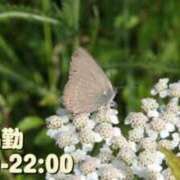 ヒメ日記 2024/07/12 10:21 投稿 しづ 奥様さくら難波店