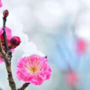 ヒメ日記 2025/01/05 17:04 投稿 石原あい 五十路マダム　和歌山店