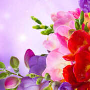 ヒメ日記 2025/03/18 08:32 投稿 石原あい 五十路マダム　和歌山店