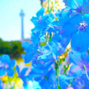 ヒメ日記 2025/04/07 19:34 投稿 石原あい 五十路マダム　和歌山店