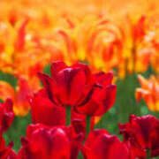 ヒメ日記 2025/05/31 06:26 投稿 石原あい 五十路マダム　和歌山店