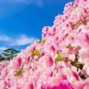 ヒメ日記 2025/06/11 10:14 投稿 石原あい 五十路マダム　和歌山店