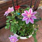 ヒメ日記 2025/10/24 11:58 投稿 石原あい 五十路マダム　和歌山店