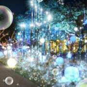 ヒメ日記 2024/12/13 23:09 投稿 瑠璃（るり） 丸妻 錦糸町店