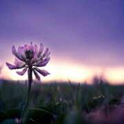 ヒメ日記 2024/12/14 19:56 投稿 瑠璃（るり） 丸妻 錦糸町店