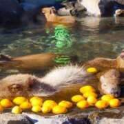 ヒメ日記 2024/12/22 09:44 投稿 瑠璃（るり） 丸妻 錦糸町店