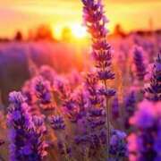 ヒメ日記 2025/01/04 10:55 投稿 瑠璃（るり） 丸妻 錦糸町店