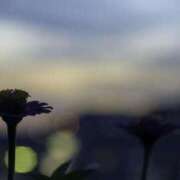 ヒメ日記 2025/01/05 22:14 投稿 瑠璃（るり） 丸妻 錦糸町店