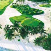 ヒメ日記 2025/01/11 09:25 投稿 瑠璃（るり） 丸妻 錦糸町店