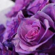 ヒメ日記 2025/01/19 11:55 投稿 瑠璃（るり） 丸妻 錦糸町店