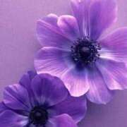 ヒメ日記 2025/01/23 12:55 投稿 瑠璃（るり） 丸妻 錦糸町店