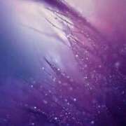 ヒメ日記 2025/01/23 19:31 投稿 瑠璃（るり） 丸妻 錦糸町店