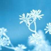 ヒメ日記 2025/02/07 12:30 投稿 瑠璃（るり） 丸妻 錦糸町店