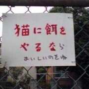 ヒメ日記 2025/02/09 09:40 投稿 瑠璃（るり） 丸妻 錦糸町店