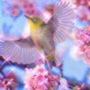 ヒメ日記 2025/02/15 09:49 投稿 瑠璃（るり） 丸妻 錦糸町店