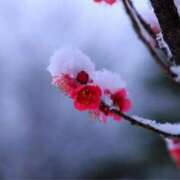 ヒメ日記 2025/03/08 20:31 投稿 瑠璃（るり） 丸妻 錦糸町店