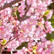 ヒメ日記 2025/03/09 12:23 投稿 瑠璃（るり） 丸妻 錦糸町店