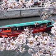 ヒメ日記 2025/03/30 13:03 投稿 瑠璃（るり） 丸妻 錦糸町店