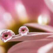 ヒメ日記 2025/05/24 16:12 投稿 瑠璃（るり） 丸妻 錦糸町店