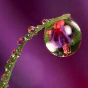 ヒメ日記 2025/06/06 23:27 投稿 瑠璃（るり） 丸妻 錦糸町店