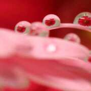 ヒメ日記 2025/06/08 18:04 投稿 瑠璃（るり） 丸妻 錦糸町店