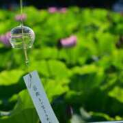 ヒメ日記 2025/07/13 23:17 投稿 瑠璃（るり） 丸妻 錦糸町店