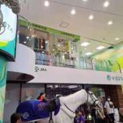 ヒメ日記 2025/08/09 09:28 投稿 瑠璃（るり） 丸妻 錦糸町店