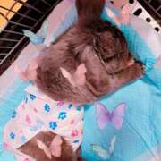 ヒメ日記 2025/09/21 10:54 投稿 瑠璃（るり） 丸妻 錦糸町店