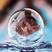 ヒメ日記 2025/10/26 14:52 投稿 瑠璃（るり） 丸妻 錦糸町店