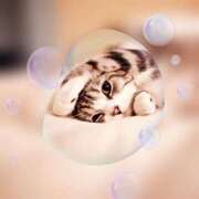 ヒメ日記 2025/11/03 14:03 投稿 瑠璃（るり） 丸妻 錦糸町店