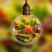 ヒメ日記 2025/11/07 13:21 投稿 瑠璃（るり） 丸妻 錦糸町店