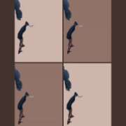 ヒメ日記 2025/11/23 12:19 投稿 瑠璃（るり） 丸妻 錦糸町店