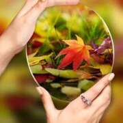 ヒメ日記 2025/11/24 10:28 投稿 瑠璃（るり） 丸妻 錦糸町店