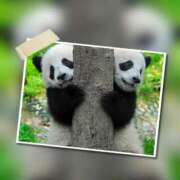 ヒメ日記 2025/11/30 09:03 投稿 瑠璃（るり） 丸妻 錦糸町店