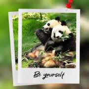 ヒメ日記 2025/12/01 11:05 投稿 瑠璃（るり） 丸妻 錦糸町店