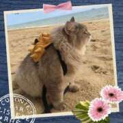 ヒメ日記 2025/12/06 13:09 投稿 瑠璃（るり） 丸妻 錦糸町店