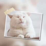 ヒメ日記 2025/12/07 08:06 投稿 瑠璃（るり） 丸妻 錦糸町店