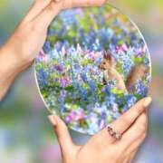 ヒメ日記 2025/12/18 22:33 投稿 瑠璃（るり） 丸妻 錦糸町店