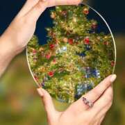 ヒメ日記 2025/12/19 10:57 投稿 瑠璃（るり） 丸妻 錦糸町店