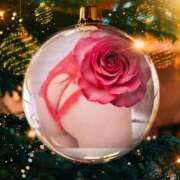 ヒメ日記 2025/12/20 13:05 投稿 瑠璃（るり） 丸妻 錦糸町店