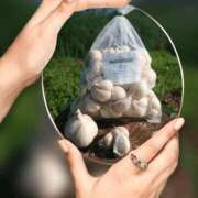 ヒメ日記 2025/12/20 14:08 投稿 瑠璃（るり） 丸妻 錦糸町店