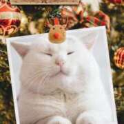 ヒメ日記 2025/12/20 18:05 投稿 瑠璃（るり） 丸妻 錦糸町店