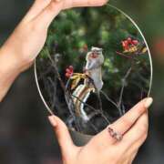 ヒメ日記 2025/12/26 10:08 投稿 瑠璃（るり） 丸妻 錦糸町店