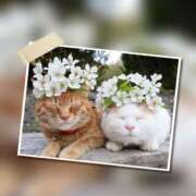 ヒメ日記 2025/12/28 22:04 投稿 瑠璃（るり） 丸妻 錦糸町店