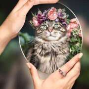 ヒメ日記 2025/12/29 13:25 投稿 瑠璃（るり） 丸妻 錦糸町店