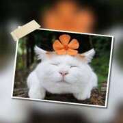 ヒメ日記 2026/01/10 13:34 投稿 瑠璃（るり） 丸妻 錦糸町店