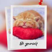 ヒメ日記 2026/01/12 16:18 投稿 瑠璃（るり） 丸妻 錦糸町店