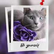 ヒメ日記 2026/01/16 11:03 投稿 瑠璃（るり） 丸妻 錦糸町店